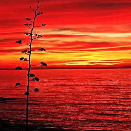 Mirando Al Mar Torrevieja